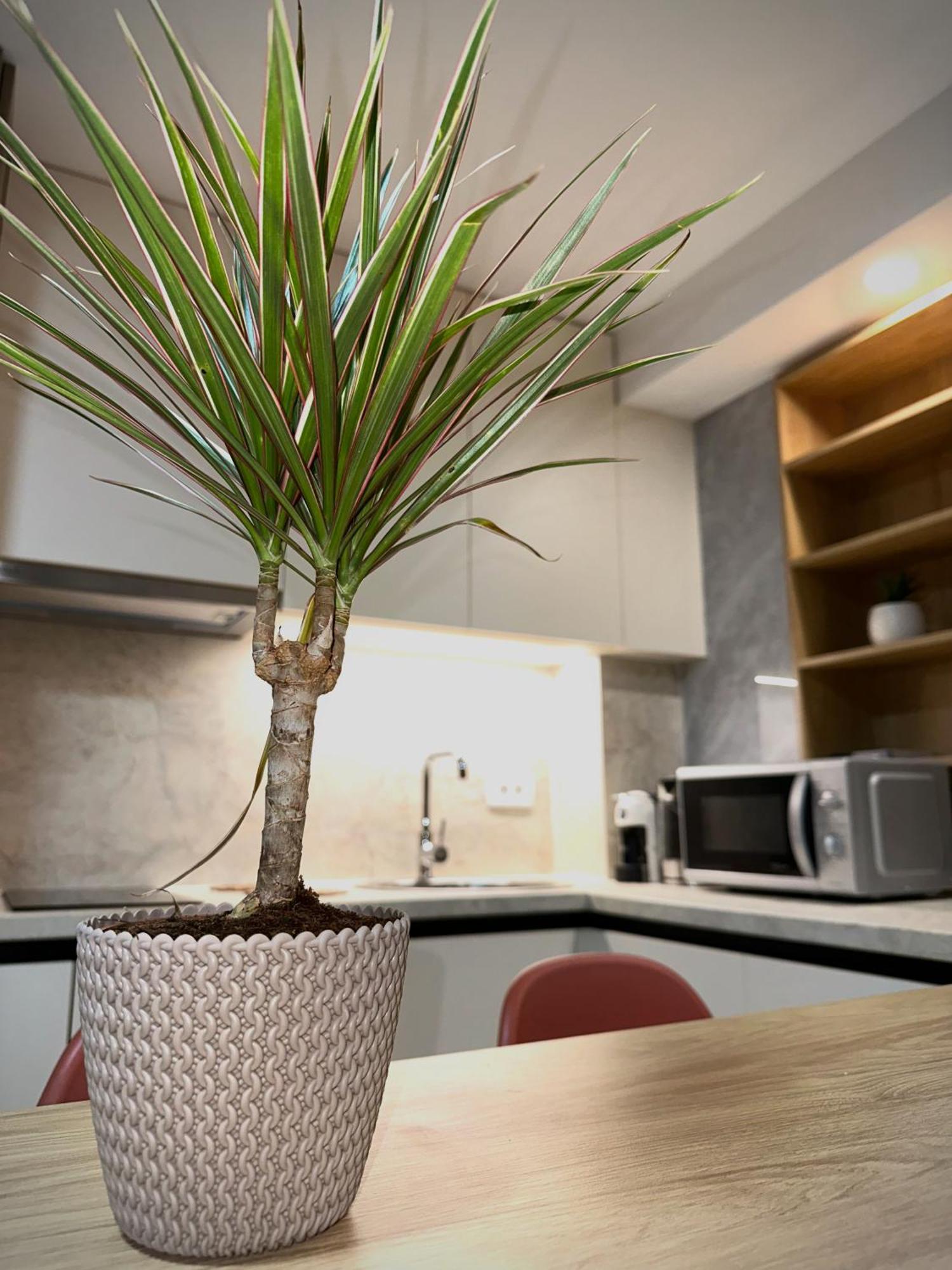 Square Point Apartments Kotor Dış mekan fotoğraf